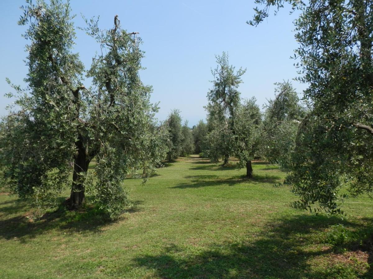 Agriturismo Fioralba Polpenazze del Garda Exterior foto
