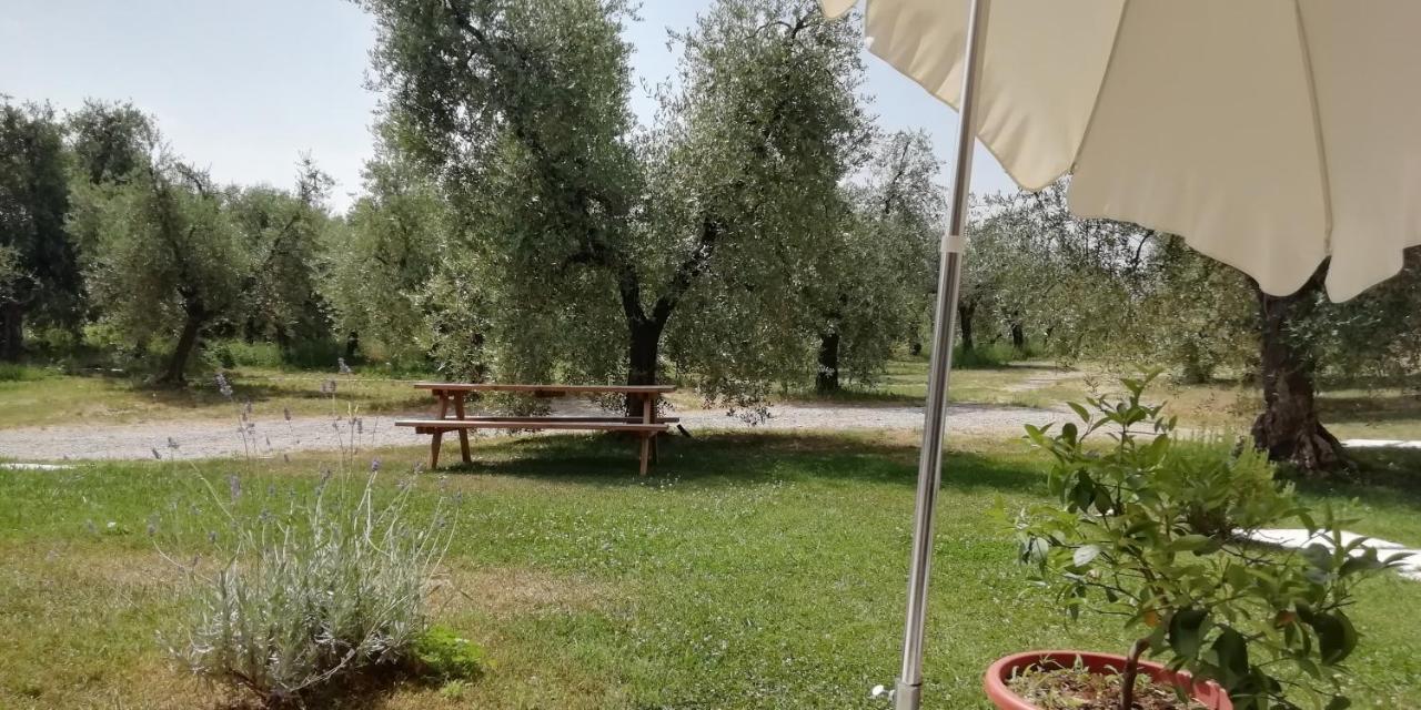 Agriturismo Fioralba Polpenazze del Garda Exterior foto