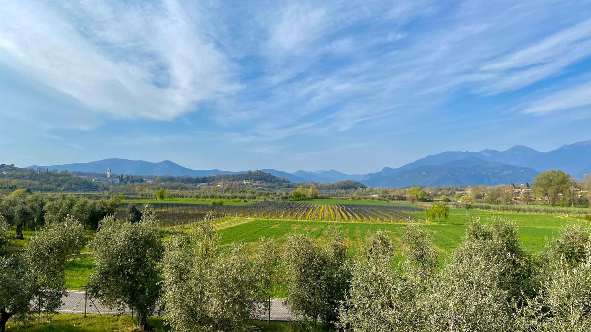 Agriturismo Fioralba Polpenazze del Garda Exterior foto