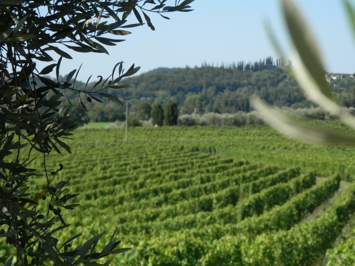 Agriturismo Fioralba Polpenazze del Garda Exterior foto