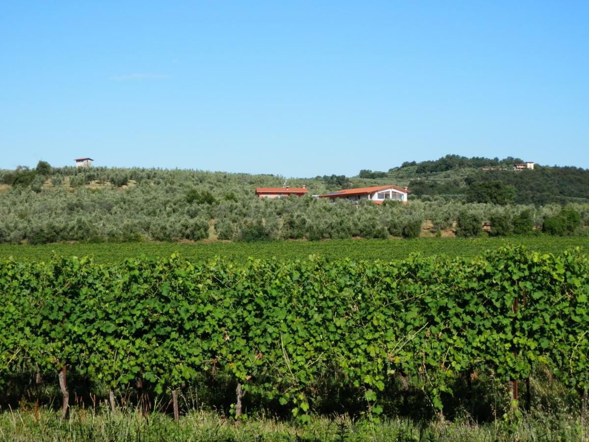 Agriturismo Fioralba Polpenazze del Garda Exterior foto